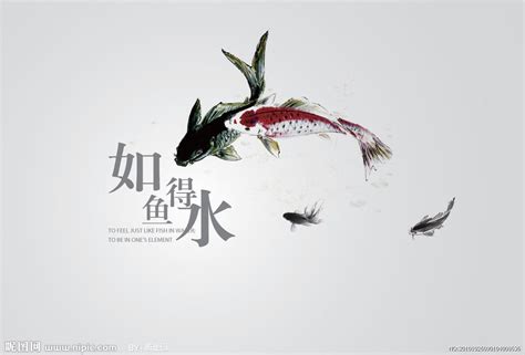 如魚得水|如鱼得水的意思